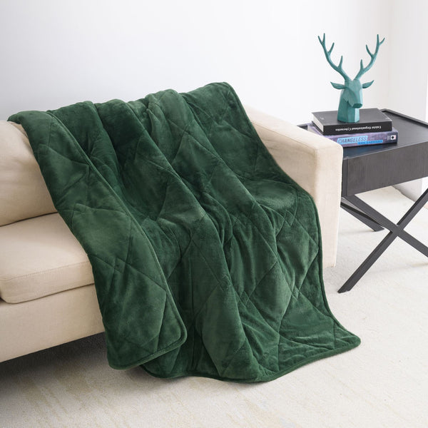 Dream Theory Butter Velvet Weighted Blanket 15 Lbs Green - Neurodiversity Nation